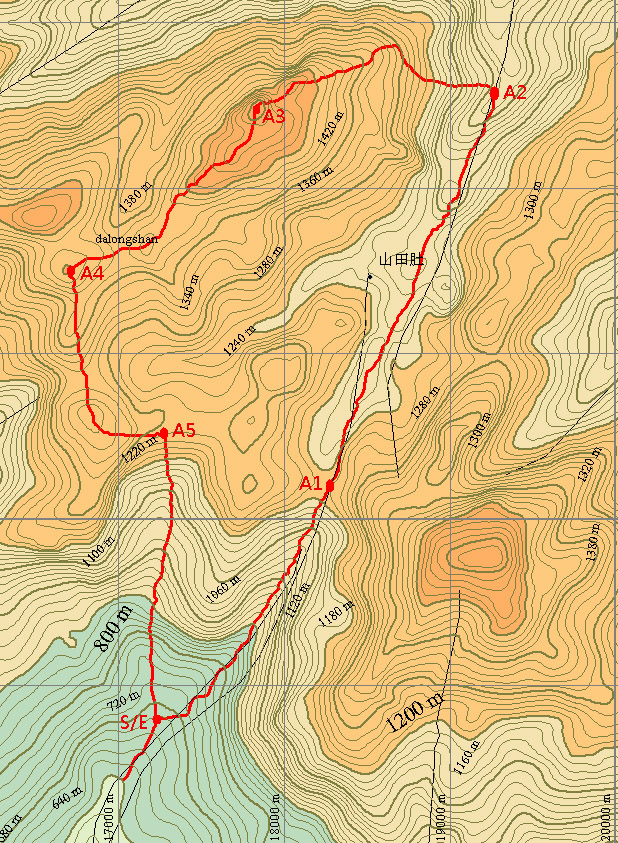 dalongshan1副本.jpg