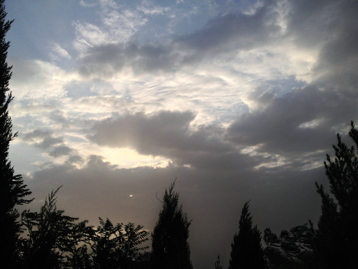 照片 050.jpg